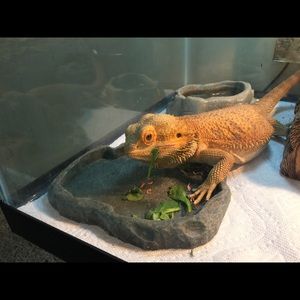 Meet your Posher, Nancy